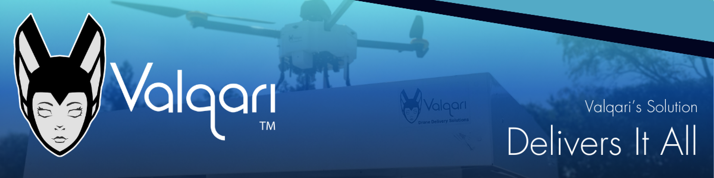 Valqari_Logo_Drone Major