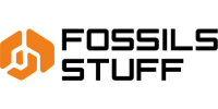 Fossils-Stuff-FPV-Drone-Major-Consultancy-Services-Solutions-Hub